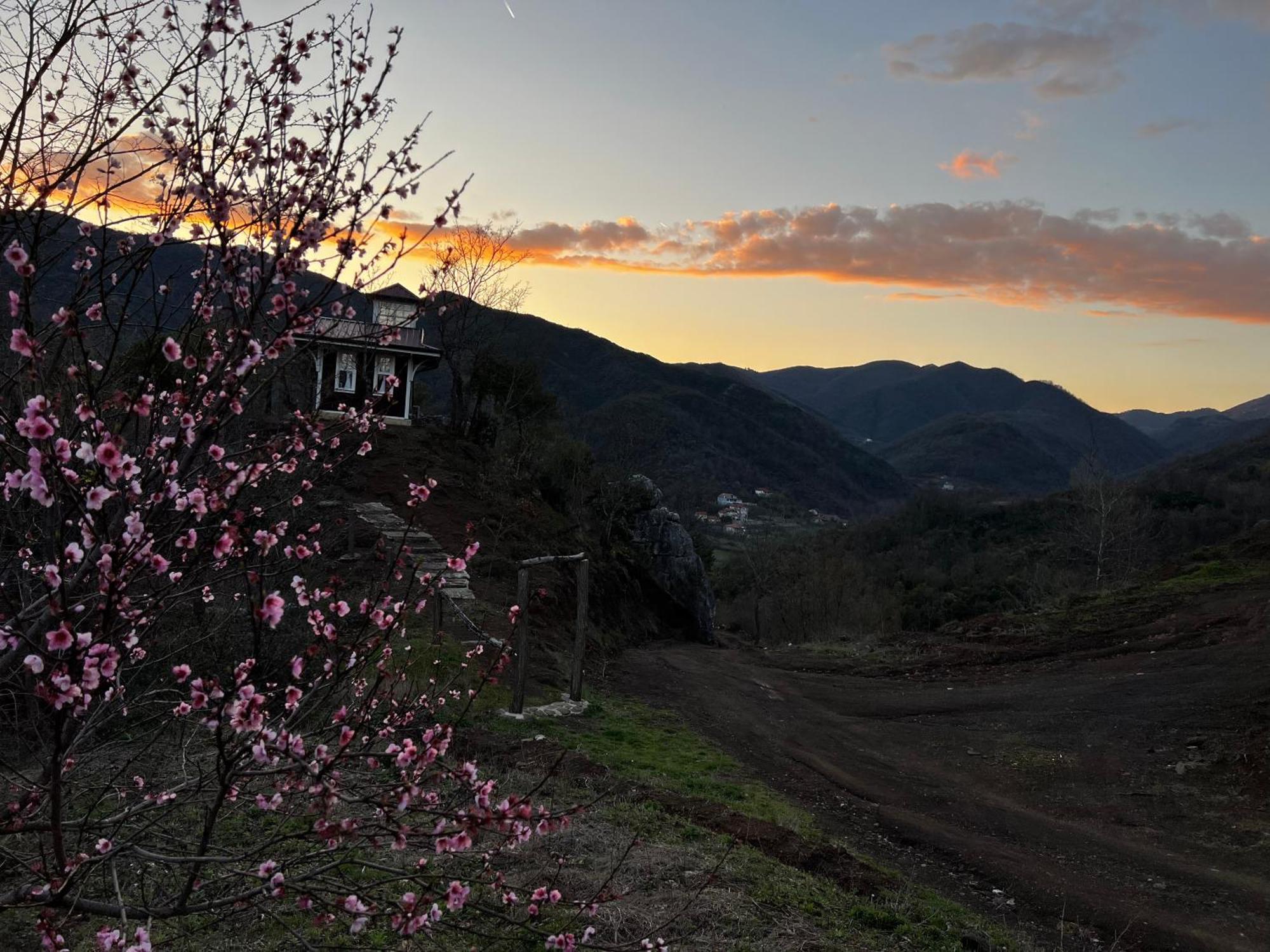 Baven -Toven Naturae Rubik Dış mekan fotoğraf