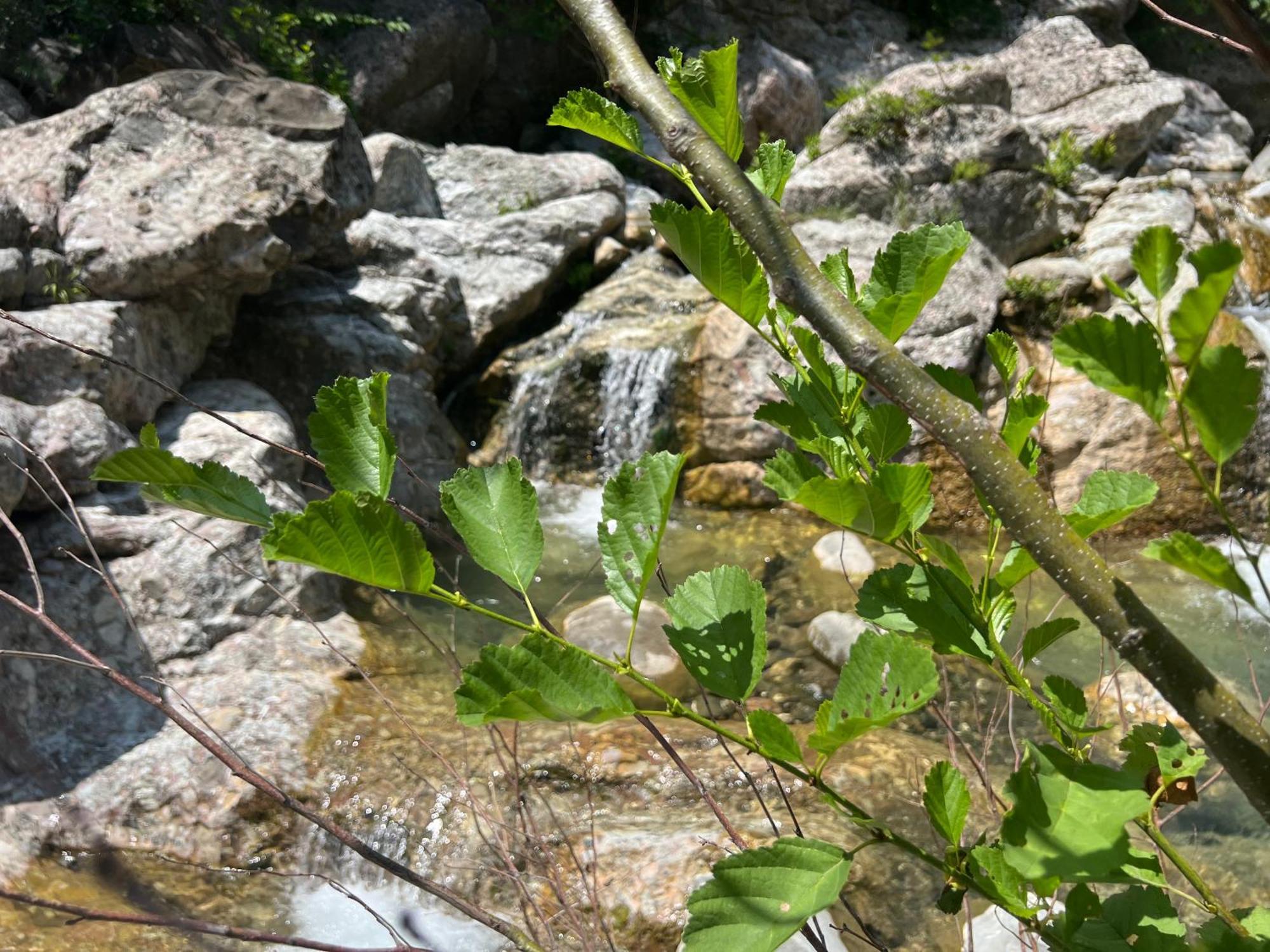 Baven -Toven Naturae Rubik Dış mekan fotoğraf