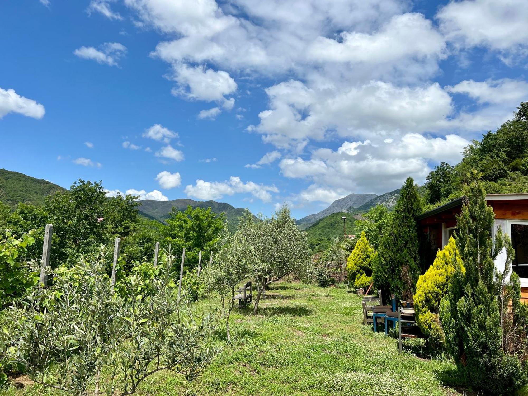 Baven -Toven Naturae Rubik Dış mekan fotoğraf